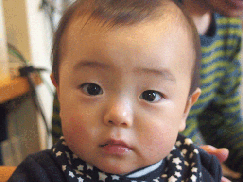 P1021628.gif