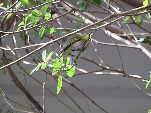 IMG_5492.jpg