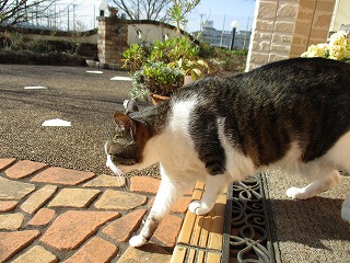 IMG_5080ss.jpg