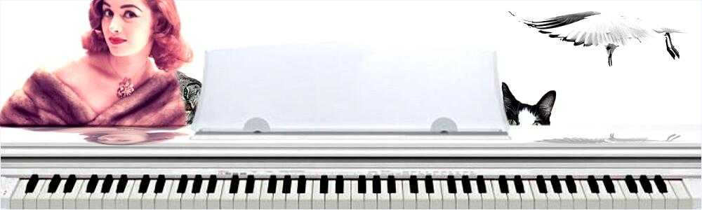 耳（ミミ）とチャッピの布団