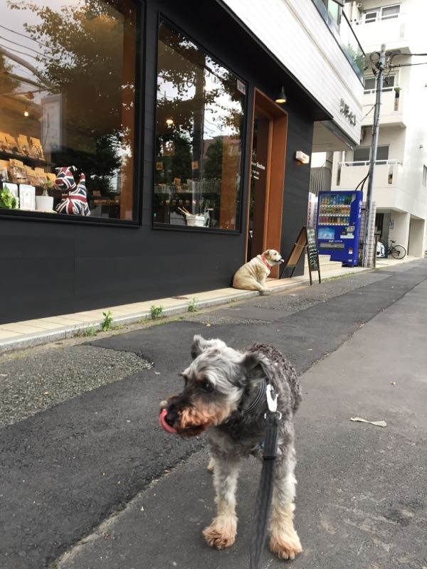 rblog-20160617011149-02.jpg