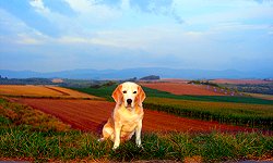 20130816朝日をあびて