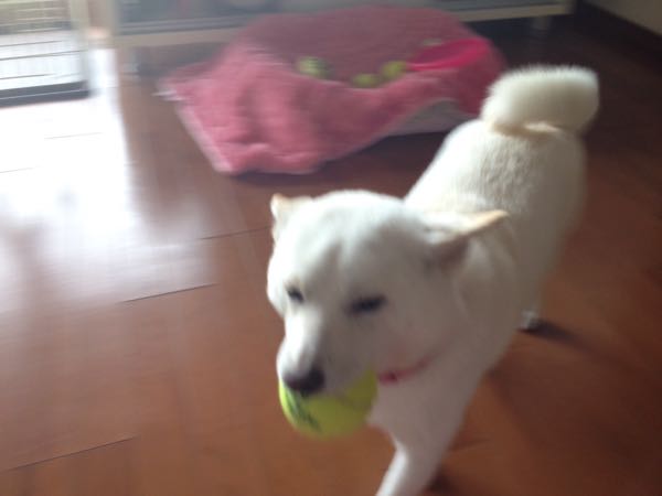 rblog-20150228215235-01.jpg
