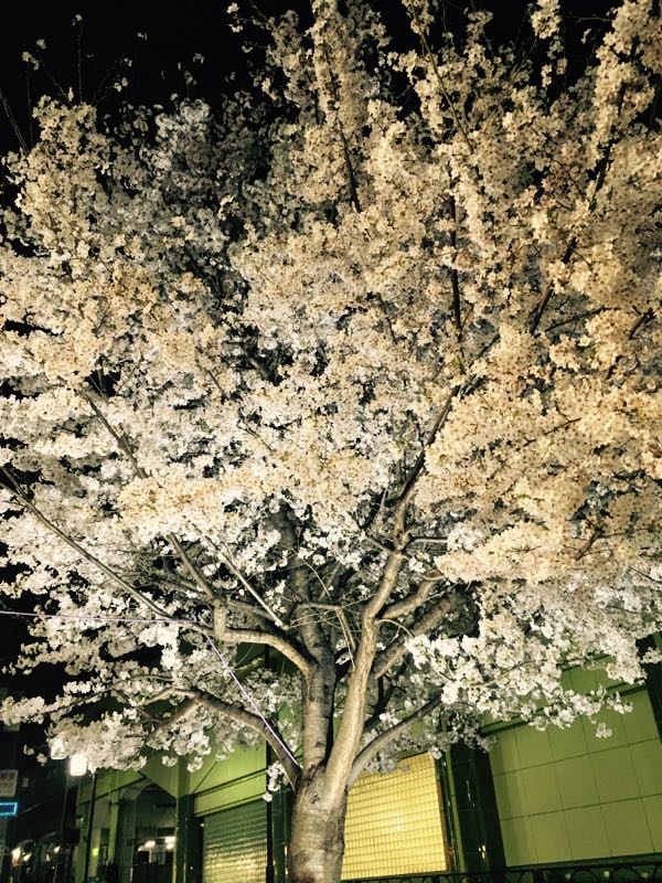 rblog-20180407110504-01.jpg