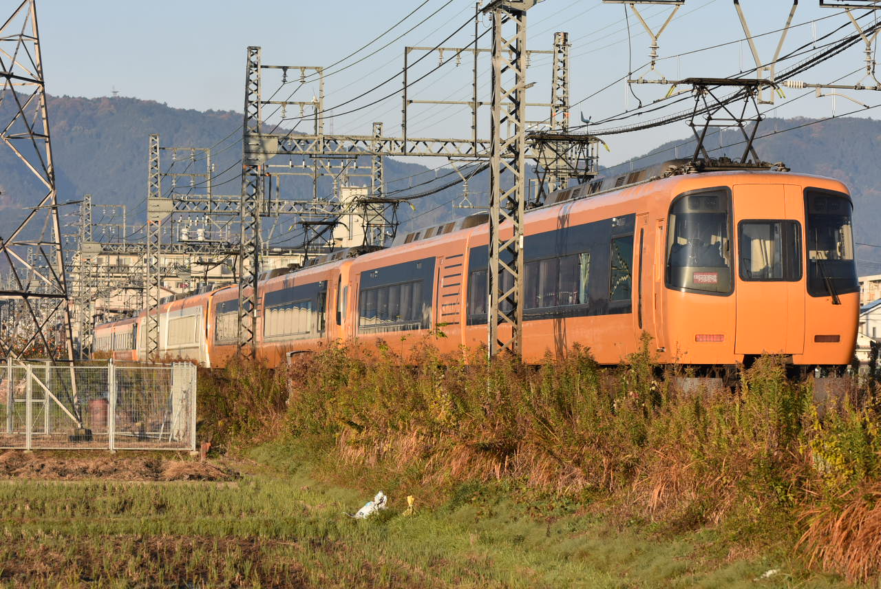 DSC_9959.JPG
