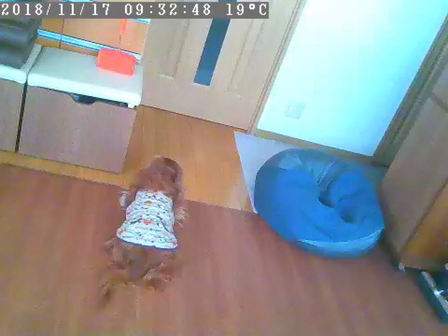 rblog-20181117145648-01.jpg