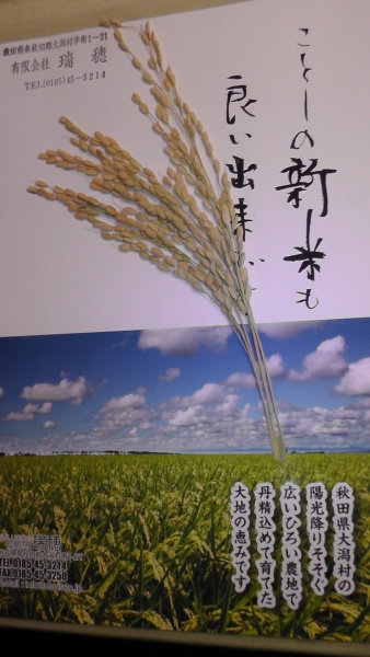稲穂