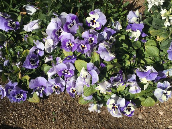 rblog-20180320234158-05.jpg
