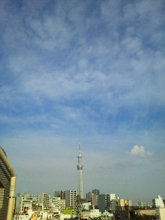 201209300733001.jpg