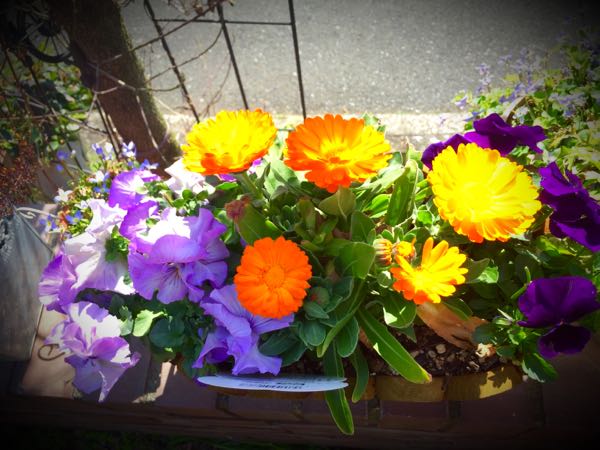 rblog-20150331200002-03.jpg