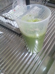 グリーンスムージー.jpg