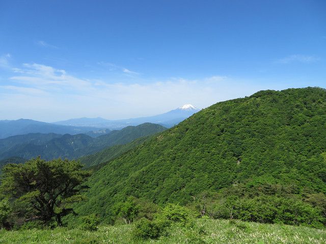 丹沢登山（1）渋沢駅→塔ノ岳山頂 | 星とカワセミ好きのブログ - 楽天ブログ