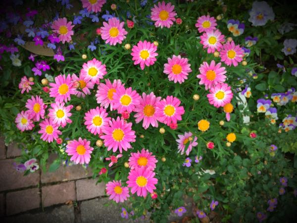 rblog-20160527132530-03.jpg
