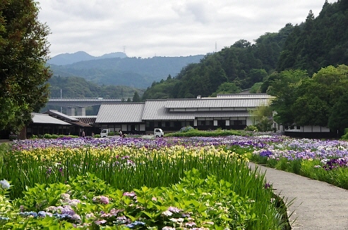77.新東名からは、とても近くに