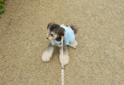 Liz 20120528.jpg