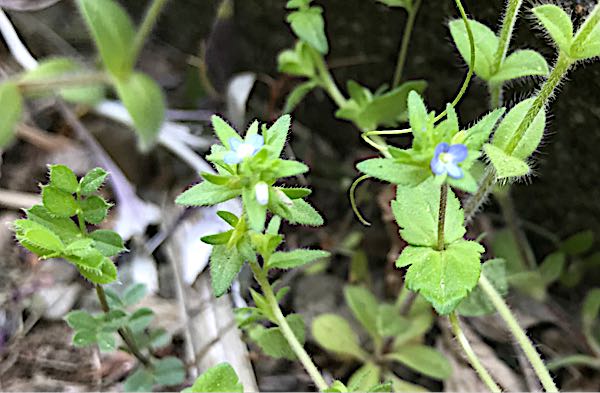 rblog-20180409192642-08.jpg