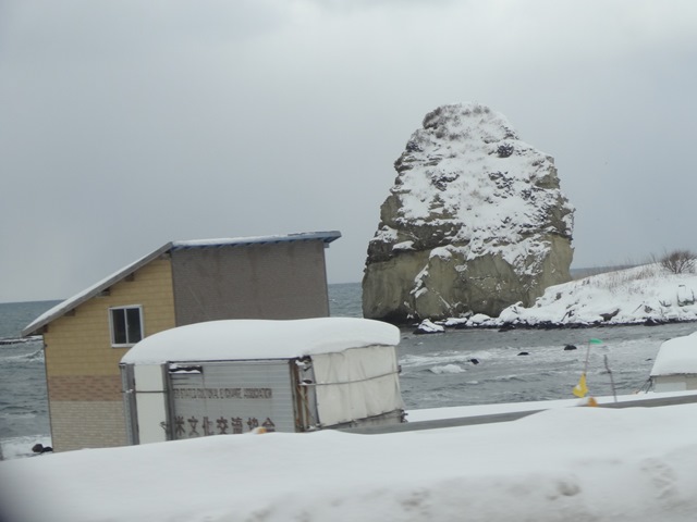DSC09796_R.JPG