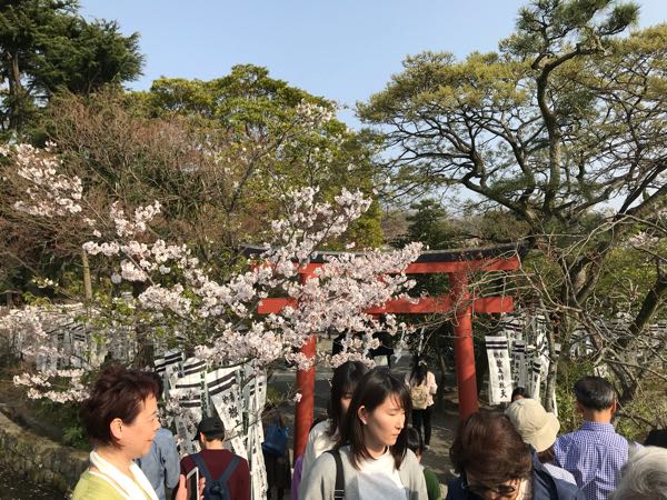 rblog-20180329185213-01.jpg