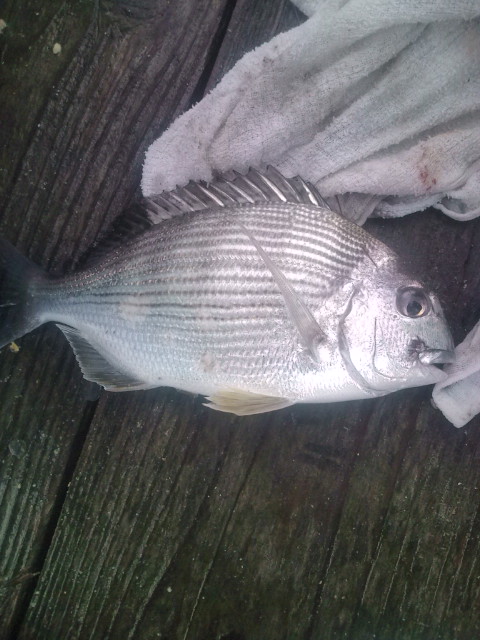 20120616083552.jpg