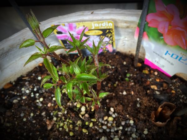 rblog-20160330183505-02.jpg