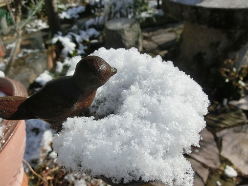 雪のバードバス