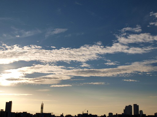 No1216-007_100807