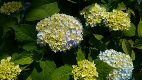 rblog-20180528125709-05.jpg
