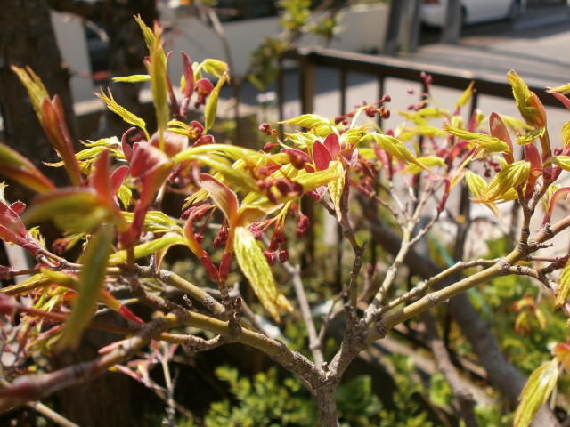 P3310669.JPG