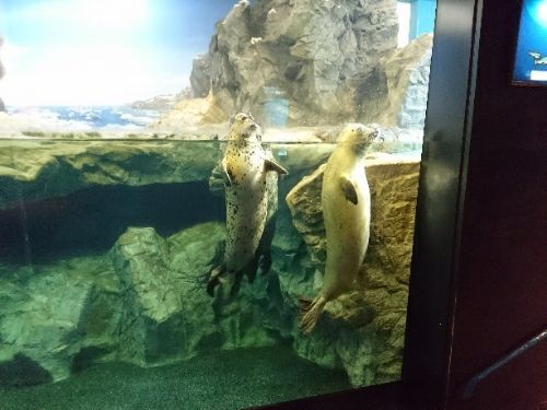 rblog-20171128135947-05.jpg