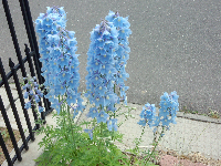 rblog-20130612094647-03.png