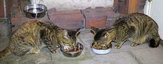 5DA_8840-1.jpg