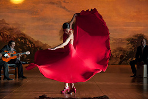 flamencoflamenco.jpg