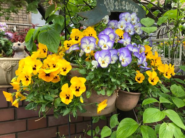 rblog-20190426180928-08.jpg