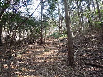 DSCN6297s.jpg