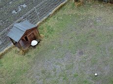 春の長雨 柴楽日記 楽天ブログ