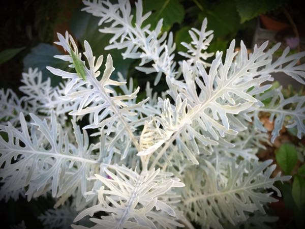 rblog-20160731174025-01.jpg