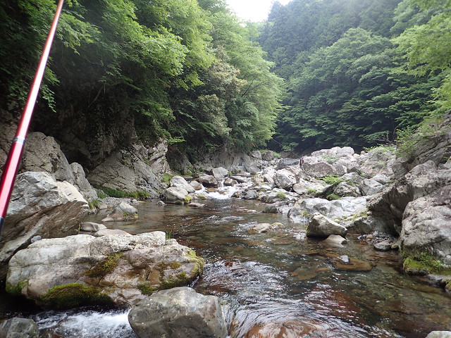 resize0009.jpg