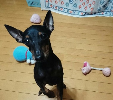 1504879088161.jpg
