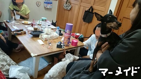1433081601243.jpg