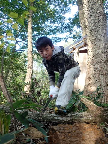 donndennyama131102011