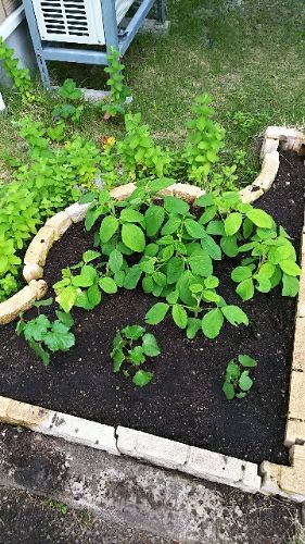 rblog-20180608175632-04.jpg