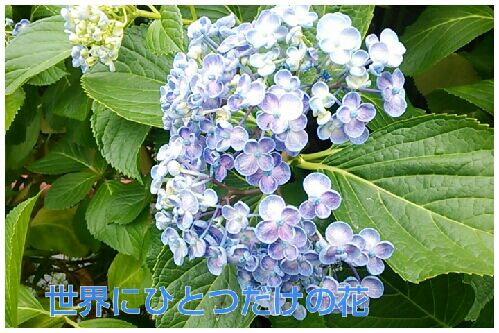 rblog-20160612133844-00.jpg