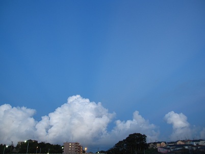 IMG_9738.JPG