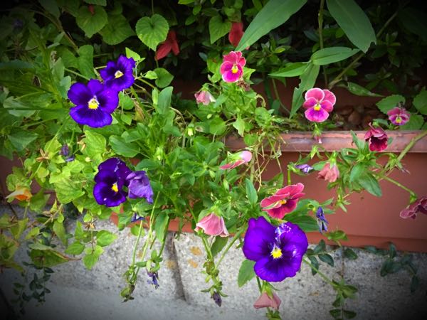 rblog-20160710211450-09.jpg