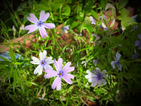 rblog-20150430203756-01.jpg