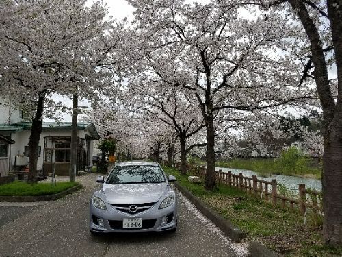 rblog-20180428002254-04.jpg