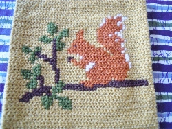 DSCN3863 (250x188).jpg