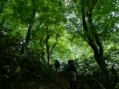 DSCF4544.jpg