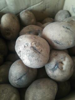 20131002_163507.jpg