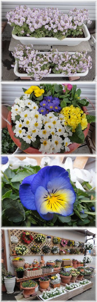 今日の記録写真